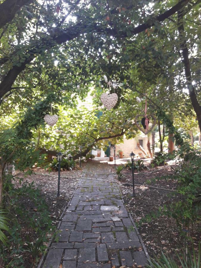 Il Gatto E Il Violino Villa Lido di Fermo Exterior foto