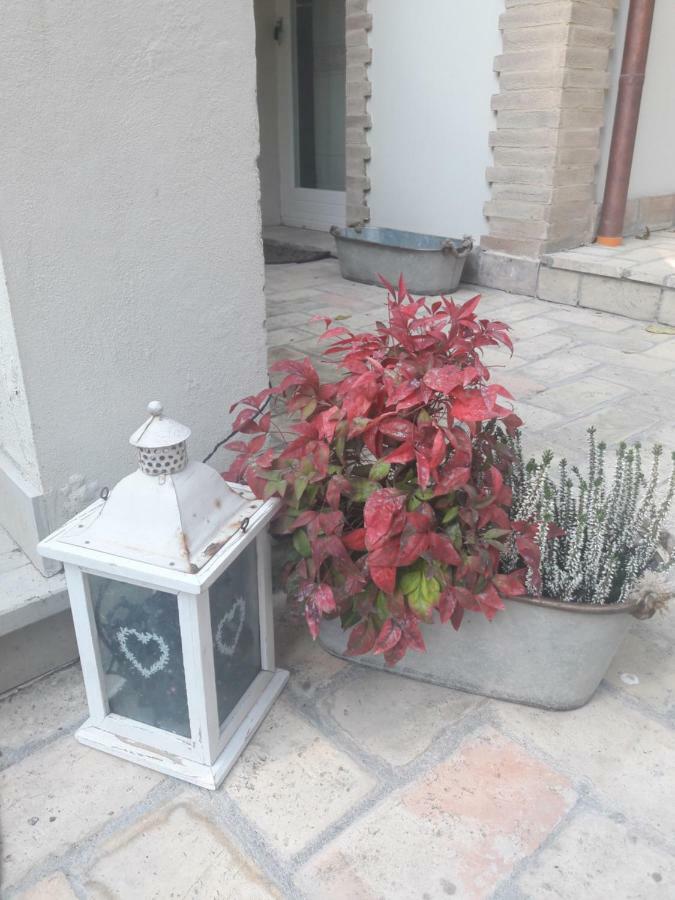 Il Gatto E Il Violino Villa Lido di Fermo Exterior foto