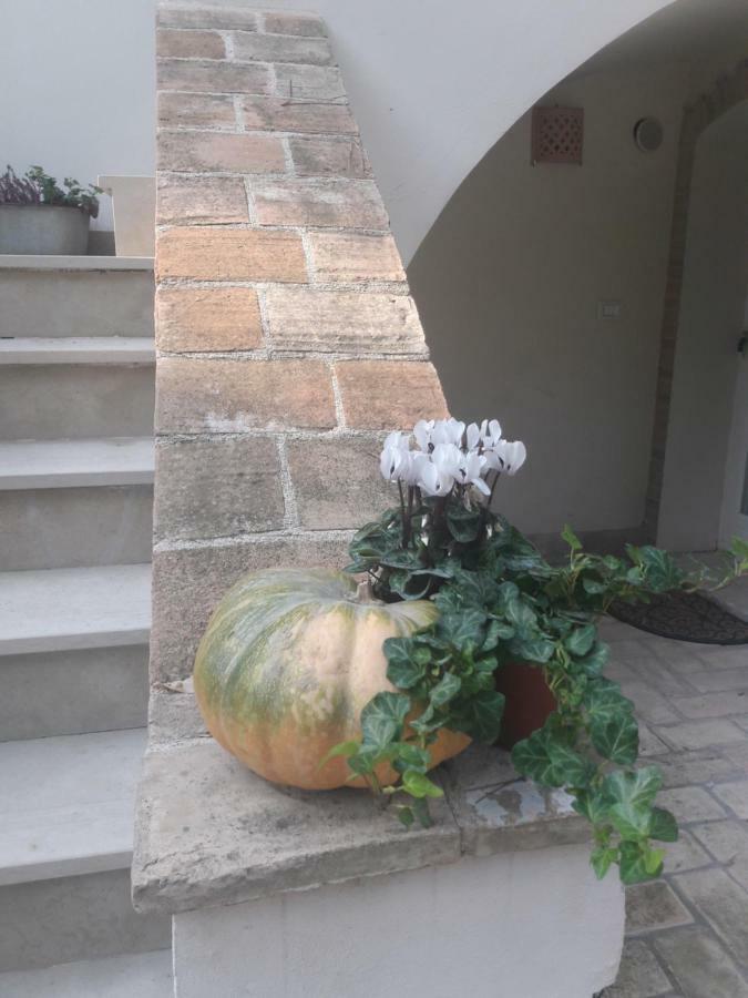 Il Gatto E Il Violino Villa Lido di Fermo Exterior foto